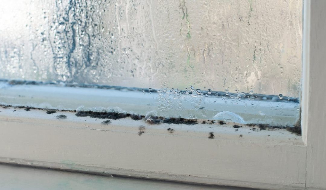 Comment traiter l’humidité dans la maison ?